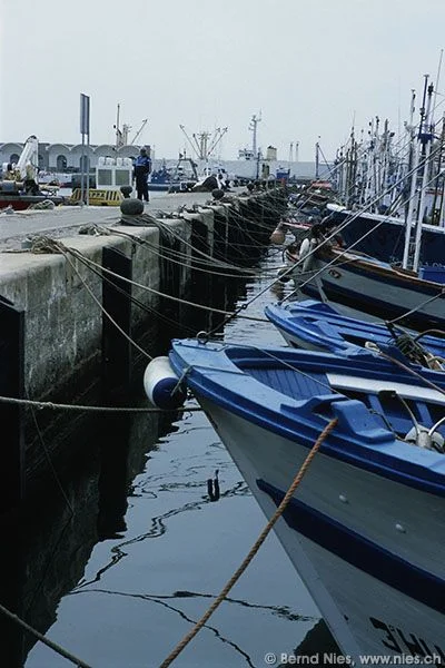 Fishing boats in the port