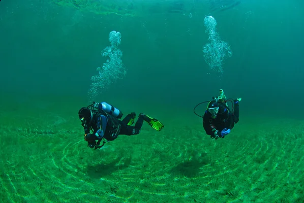 2 Divers, 1 Frog