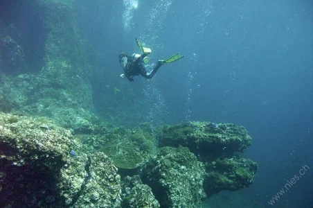 Underwater landscape