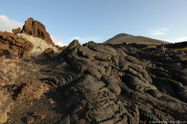 Lava Field