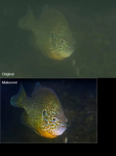 Sunfish before/after