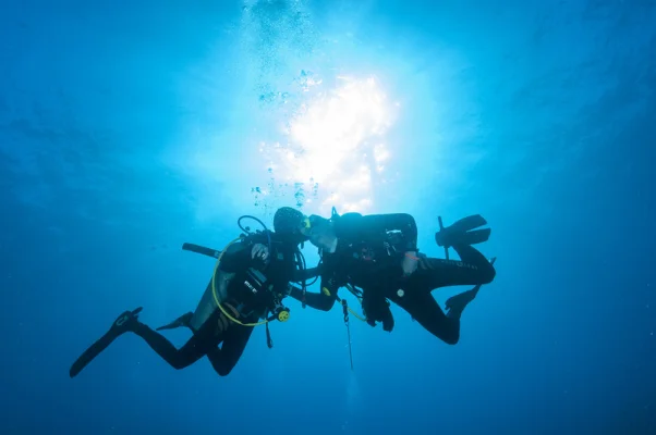 Kissing Divers