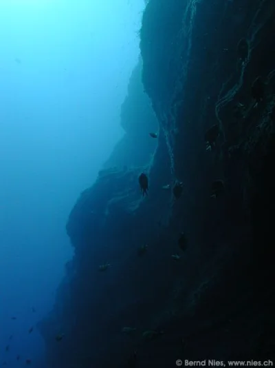 Underwater Landscape