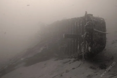 Ship Wreck