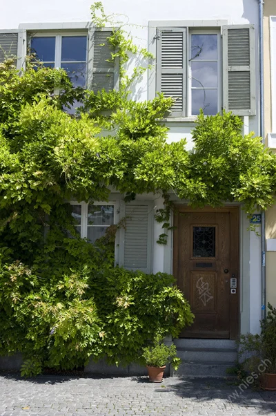 Face of a building with plants