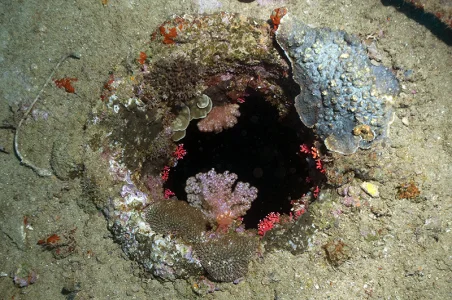 SS President Coolidge Porthole