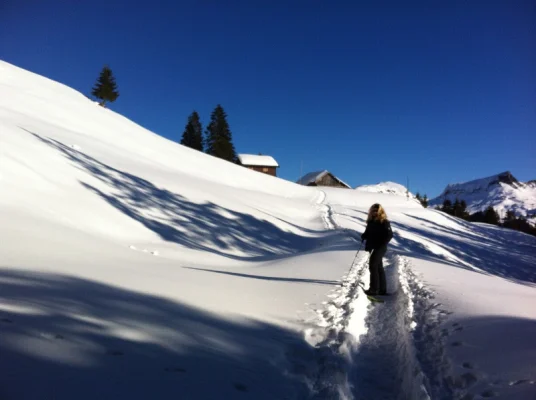 Schneeschuhwandern