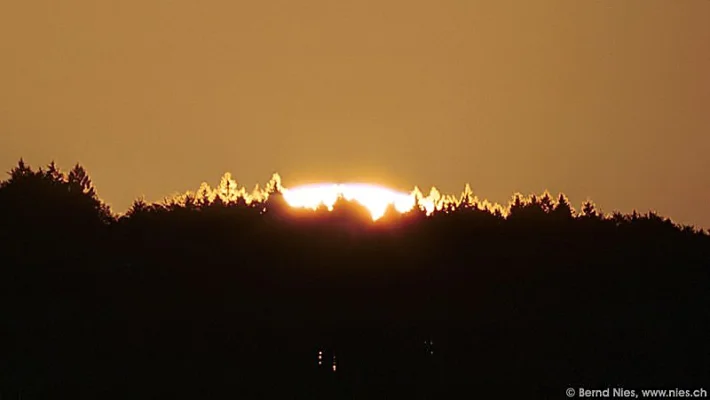 Glowing Treetops