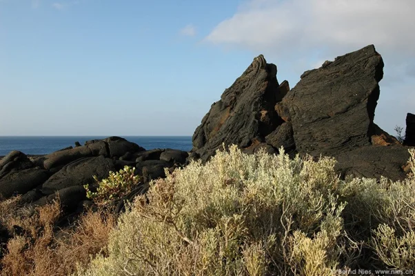 Lava Field