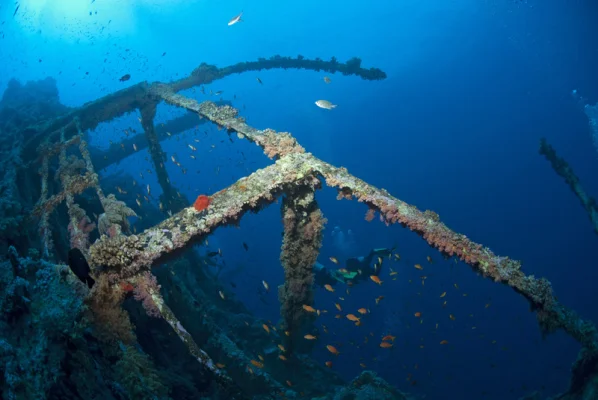 Wreck SS Numidia