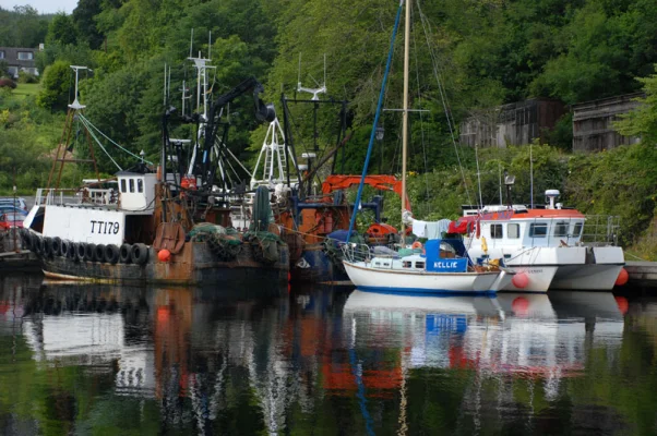 Schiffe in Crinan