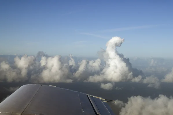 Seahorse Cloud