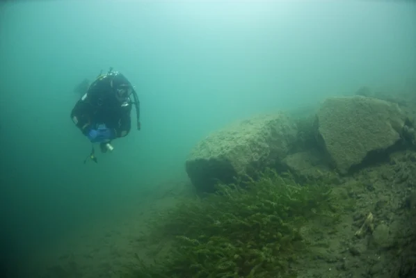 Diver with rocks