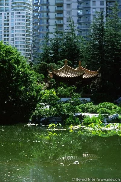 Sydney Chinesischer Garten