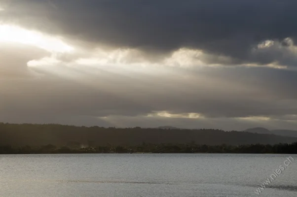 Rays of Sunlight