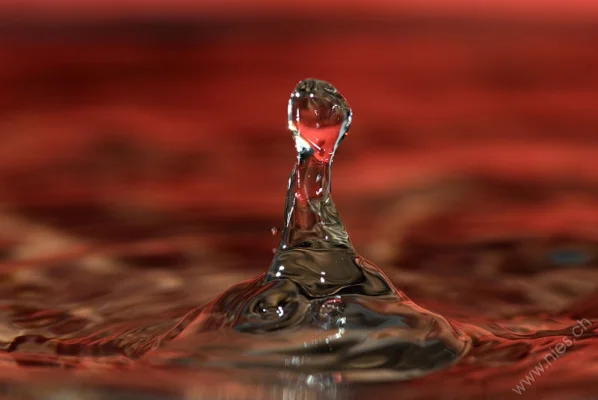 Water Drops