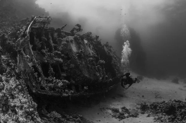 Shipwreck with Divers