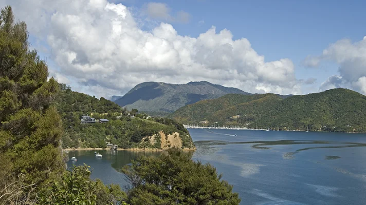 Queen Charlotte Sound) The Queen Charlotte Sound (strait