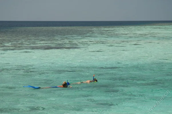 Snorkelers at Lily Beach