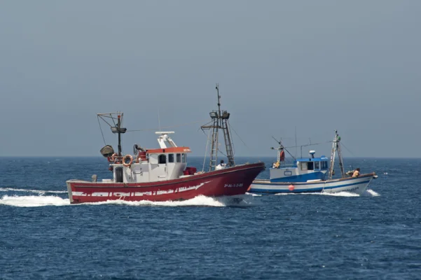 Fishing boats