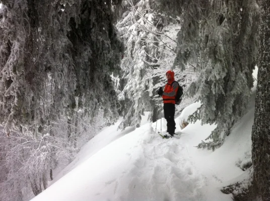 Schneeschuhwanderer im Märchenwald