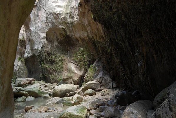 Avagas Gorge 3