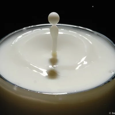 Milk Drops