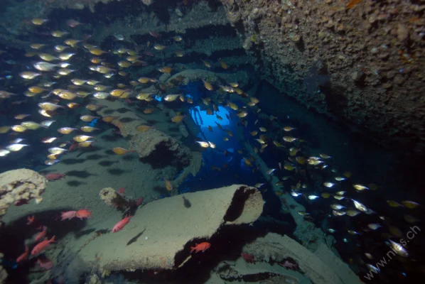 Wreck SS Thistlegorm