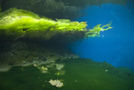 Saki Blue Hole