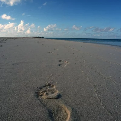 Footprints in Sand