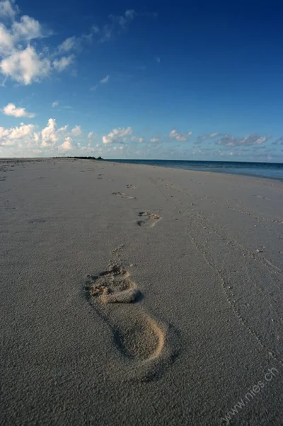 Footprints in Sand