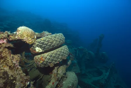 Coral on Trailer