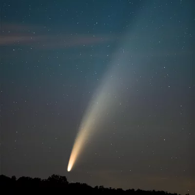 Komet Neowise über dem Wald