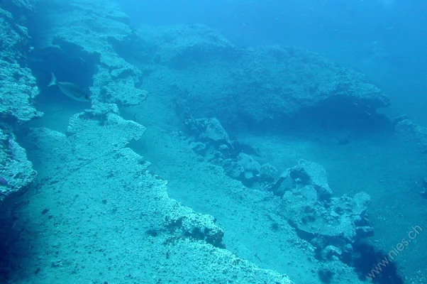 Underwater Landscape