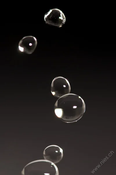 Water Drops