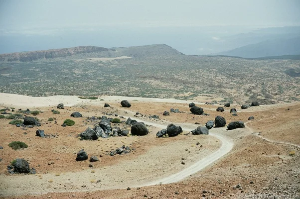 Hiking Path