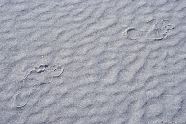 White Sands