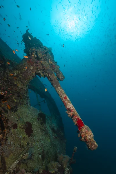 Stern Gun Thistlegorm