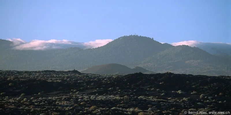 Landscape with Fog Cloud