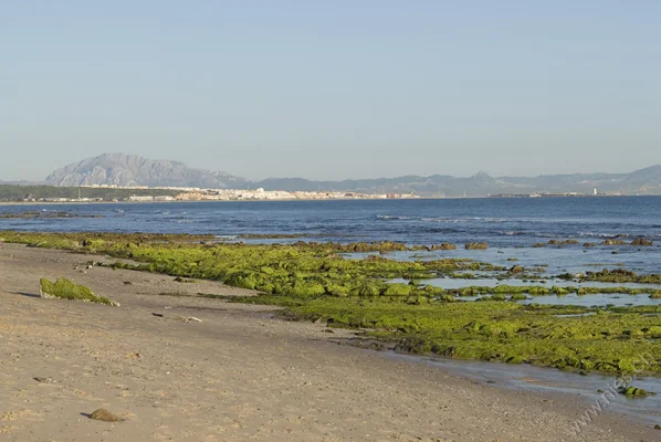 Tarifa mit Mosesberg