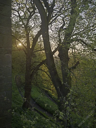 Sonnenuntergang Castle Hill