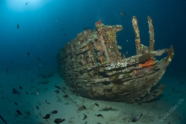 Ship Wreck