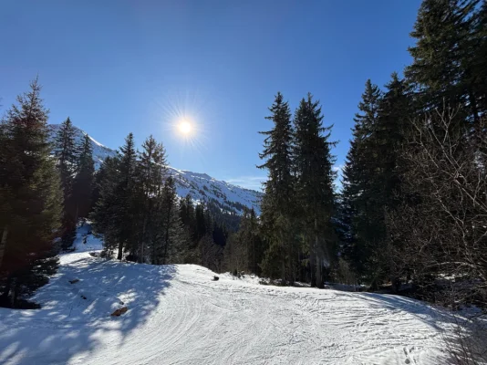 Auf dem Weg von Weglosen zur Druesberghütte. Runter gehts mit dem Schlitten.