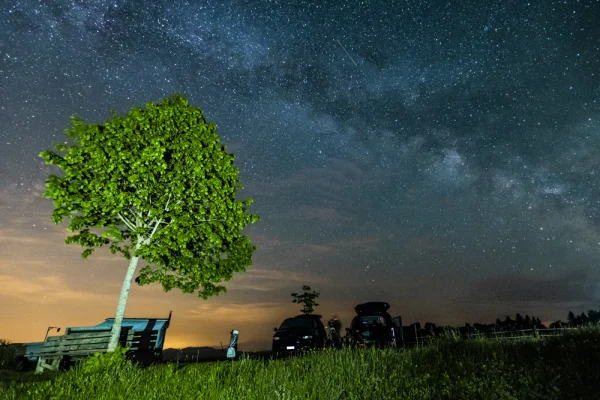 Milky Way above Tree