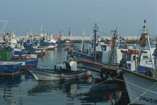 Fischerboote im Hafen