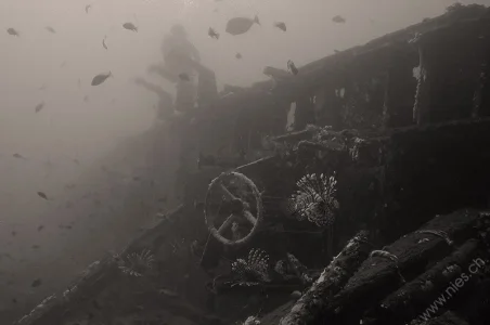 Ship Wreck