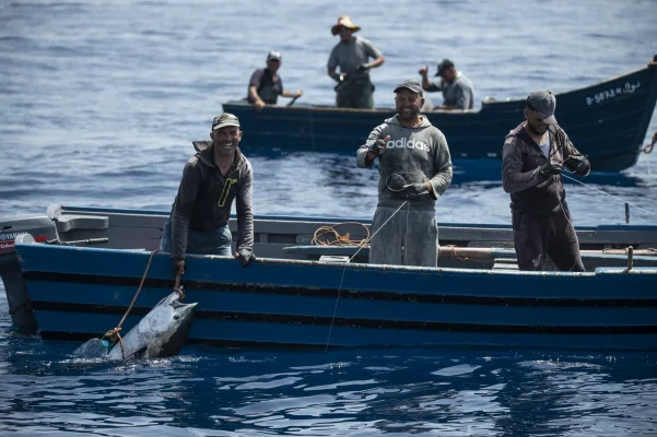 Moroccan fishermen