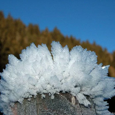 Ice crystals