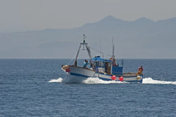 Fishing boat