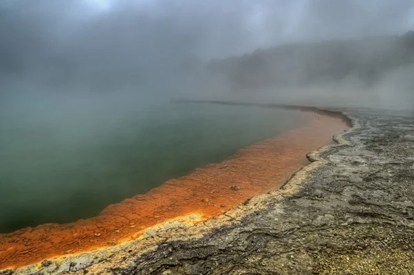 Champagne pool